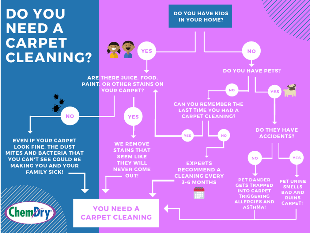 do you need a carpet cleaning flowchart nap valley california