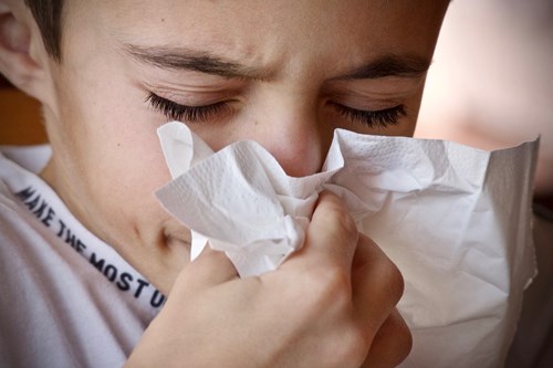 boy sneezing into a tissue in Napa Ca