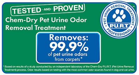 Chem-Dry of Napa Valley CA removed 99.9% of pet urine odors from carpets in Napa CA